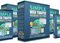 Simple-Web-Traffic-Newbie-to-Pro