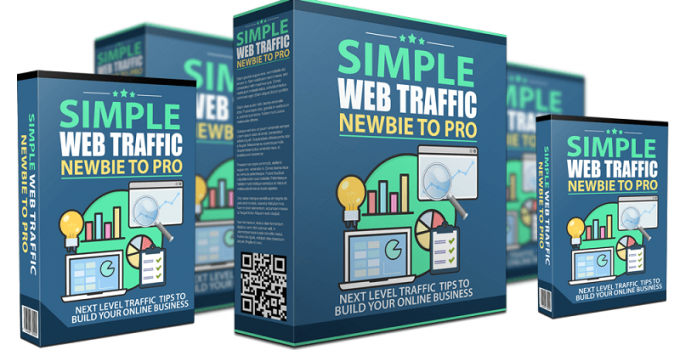 Simple-Web-Traffic-Newbie-to-Pro