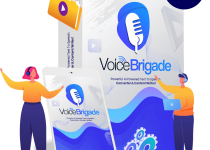 VoiceBrigade-Review